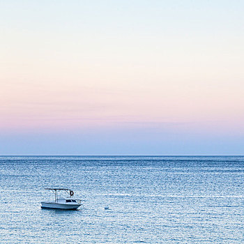 风景,船,海洋,蓝色,粉色,黎明