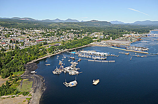 航拍,港口,温哥华岛,不列颠哥伦比亚省,加拿大