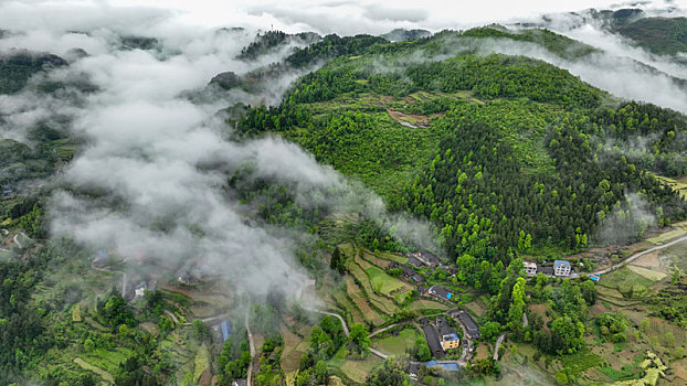 重庆酉阳雨后清晨乡村雾气弥漫如仙境