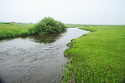 承德,坝上,草原,花海,原野,开阔,河流,植被,牧场