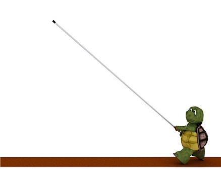 龟,竞争,撑杆跳高