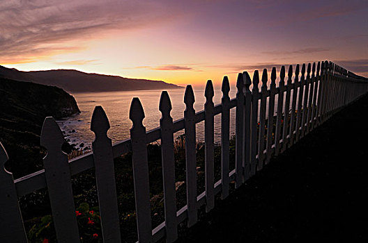 栅栏,日出,海岸,加利福尼亚,美国