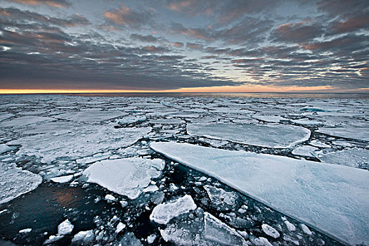冰山,浮冰,傍晚,北冰洋,斯匹次卑尔根岛,岛屿,斯瓦尔巴群岛,斯瓦尔巴特群岛,挪威,欧洲