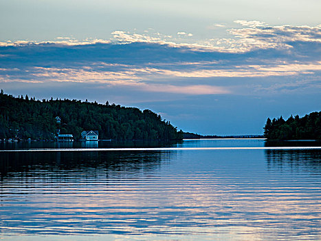 风景,湖,日落,木头,安大略省,加拿大