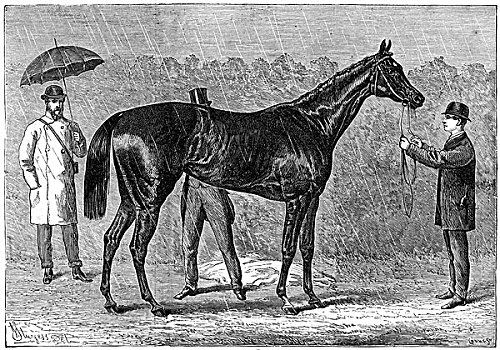 胜者,橡树,1875年