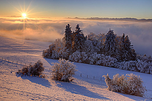 德国,巴伐利亚,上巴伐利亚,区域,冬季风景,日出