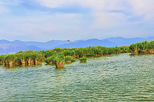 宁夏回族自治区,沙湖景观