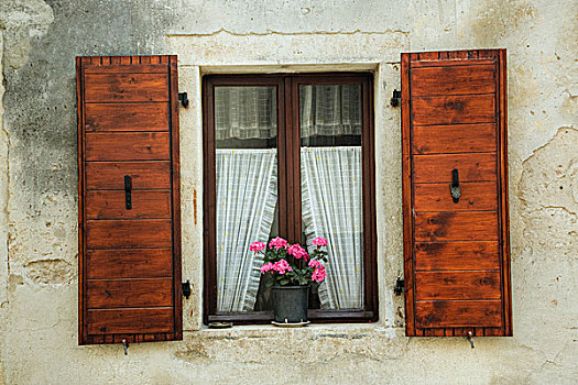 天竺葵,花,窗户,花箱,大捆,克罗地亚
