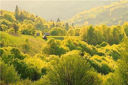 春景,喀尔巴阡山脉地区