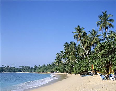 乌纳瓦图纳,海滩,海洋,沙子,棕榈树,斯里兰卡