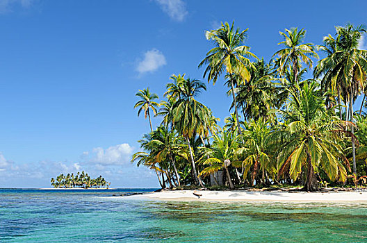 热带海岛,海滩,棕榈树,圣布拉斯湾,岛屿,巴拿马,北美