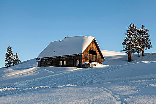 雪景,小屋,卡林西亚