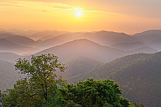 日出,上方,山峦,莱茵兰普法尔茨州,德国