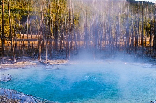 蓄水池,春天,日落