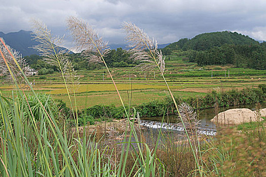 安徽农村