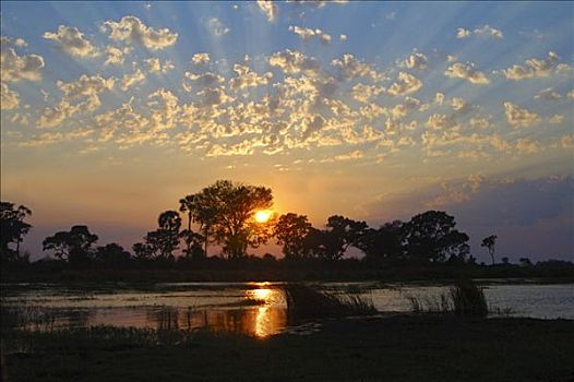 日出,上方,奥卡万戈三角洲,博茨瓦纳