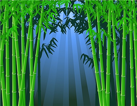 竹林,背景
