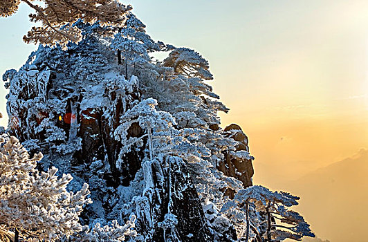 黄山,雪景,迎客松,树林,雪松,冰挂,岩石