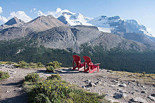 椅子,远眺,阿萨巴斯卡冰川,小路,碧玉国家公园