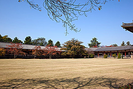 东大寺,奈良,日本