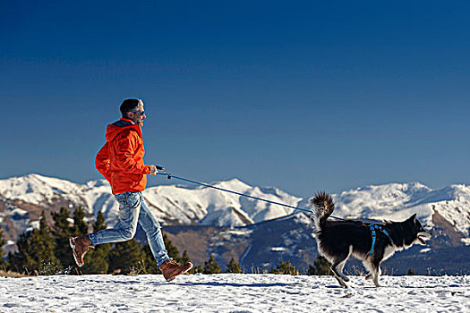 男人,跑,狗,雪中,遮盖,山景