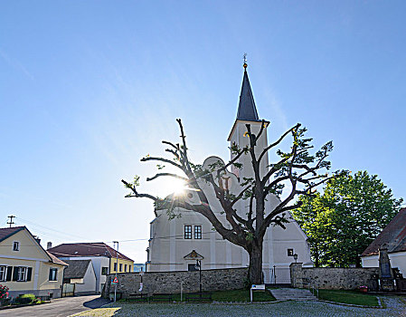教堂,奥地利,布尔根兰