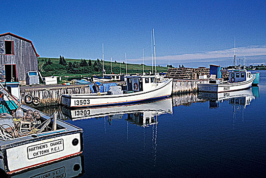 渔船,港口,法国河,爱德华王子岛,加拿大