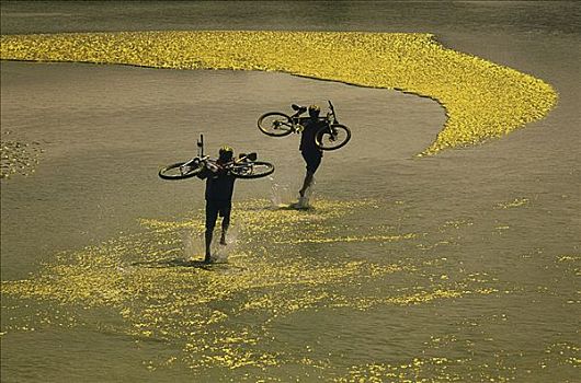 伴侣,自行车,水,牛奶河,艾伯塔省,加拿大