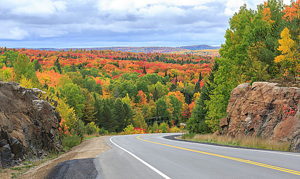 道路,秋日树林,阿尔冈金省立公园,深秋,安大略省,加拿大,北美