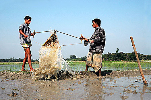 农民,灌溉,地点,孟加拉,二月,2009年