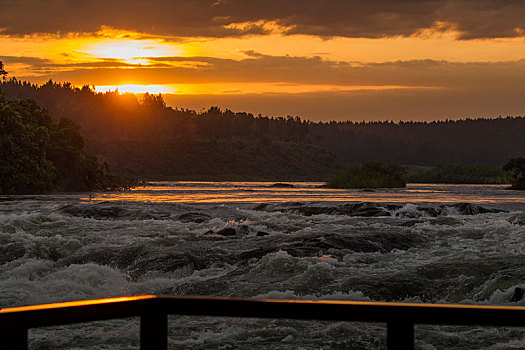 瀑布,尼罗河,流动,水流,乌干达