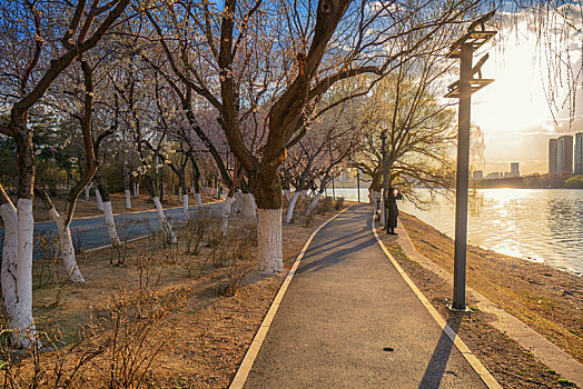 夕阳,小路