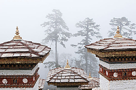 亚洲,不丹,特写,纪念碑,佛塔,树,雾