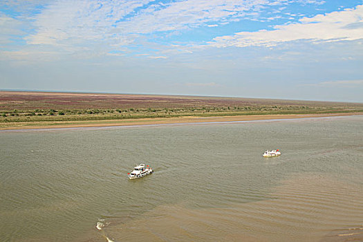 黄河入海口