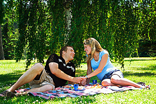 伴侣,握手,野餐毯