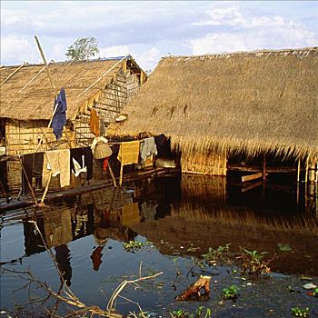 小屋,洪水,乡村,收获,柬埔寨