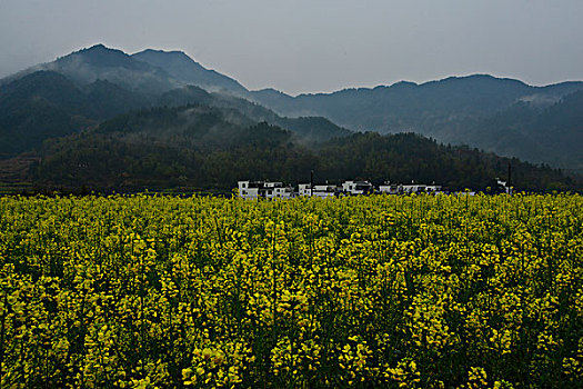 江南雾里乡村