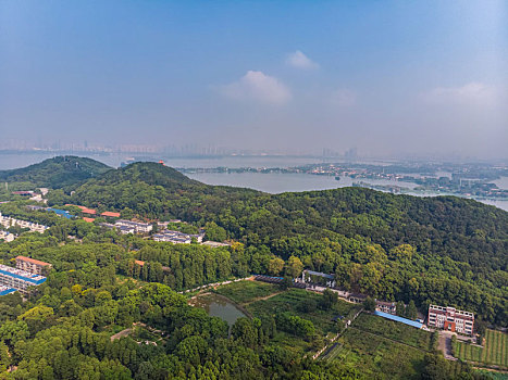 武汉,植物园,夏日,迷人,航拍,风光