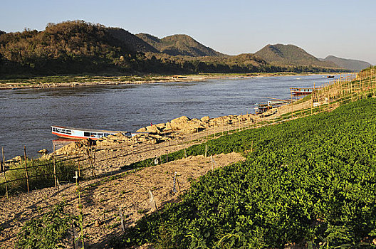 湄公河,琅勃拉邦,老挝