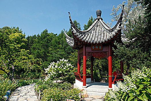 亭子,中式花园,蒙特利尔,加拿大,北美