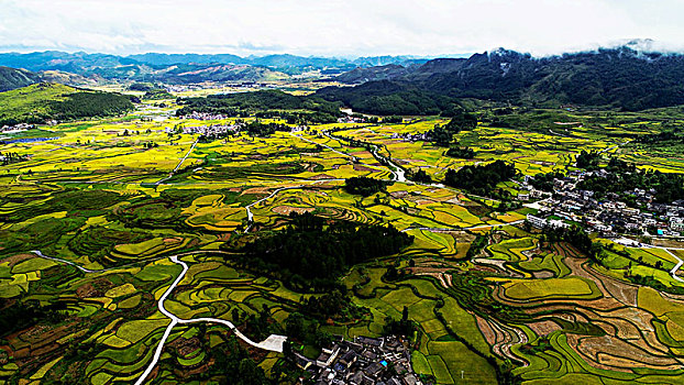 贵州龙里湾滩河镇金批村丰收田园