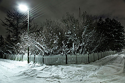 积雪,栅栏,树