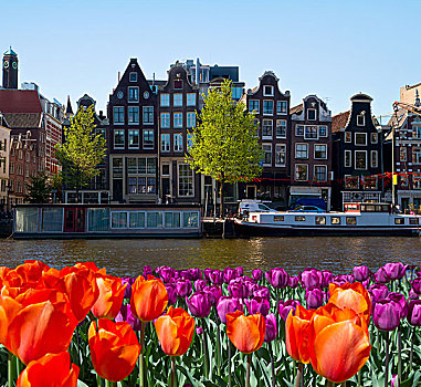 一个,运河,阿姆斯特丹