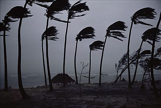 飓风,斐济