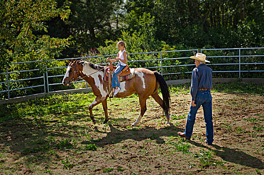 女孩,学习,乘,马,畜栏,艾伯塔省,加拿大