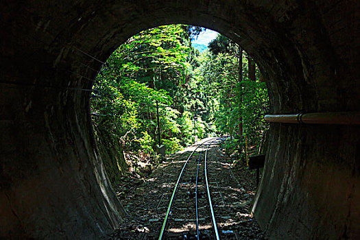 隧道,新,绿色,有轨电车,山