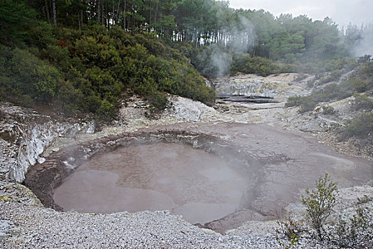 泥,怀奥塔普,陶波,火山,北岛,新西兰