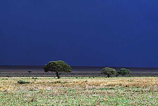 雷雨天气,上方,塞伦盖蒂国家公园,坦桑尼亚,非洲