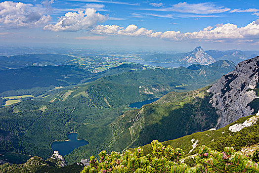 特劳恩湖,山,湖,背影,萨尔茨卡莫古特,上奥地利州,奥地利