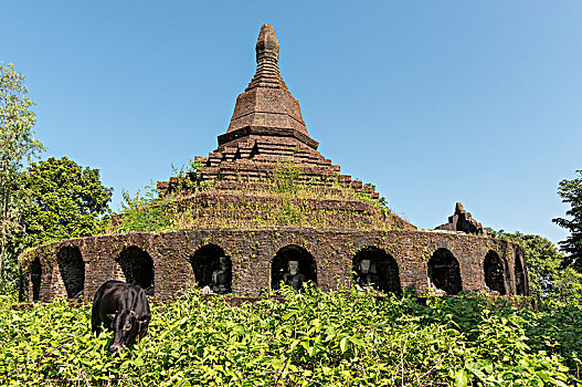 缅甸,亚洲